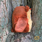 Owl Nuggie *PRE ORDER*