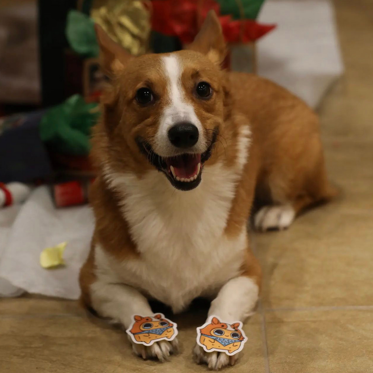 Sad Nuggie & Miss Bentley the Corgi Sticker
